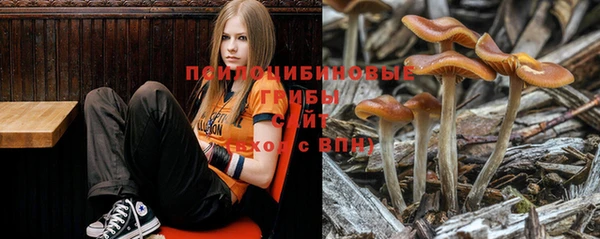 ECSTASY Алзамай