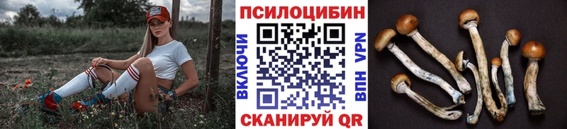 Галлюциногенные грибы MAGIC MUSHROOMS где найти наркотики Тосно